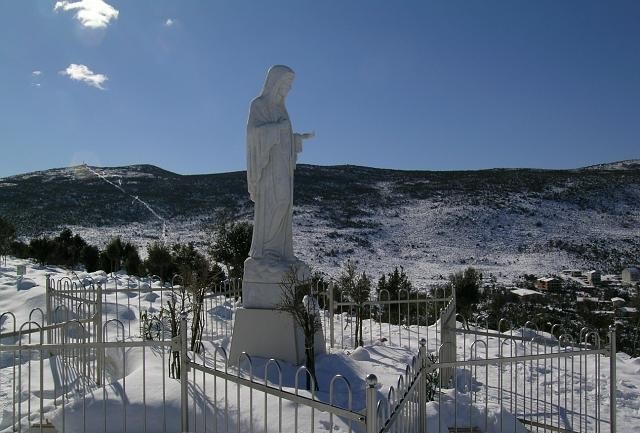 immagine 8936 da Palermo
